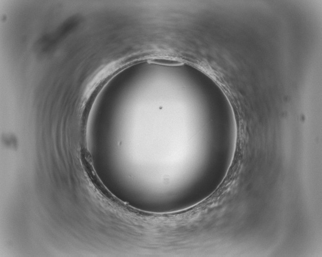 X0000059040007200510101022