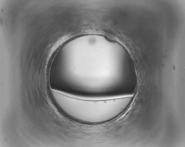 X0000059040008200510101022