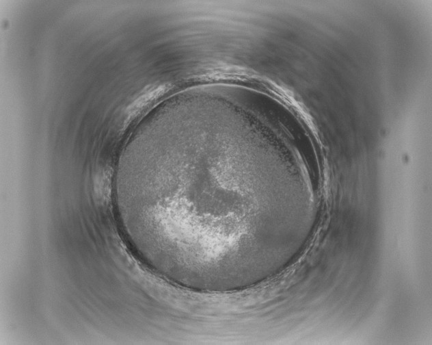 X0000059040010200510101022