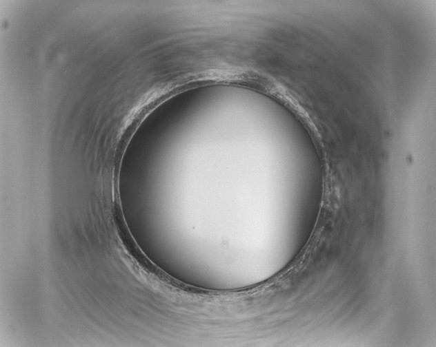 X0000059040011200510101022