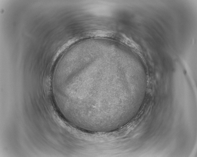 X0000059040012200510101022