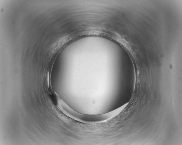 X0000059040013200510101022