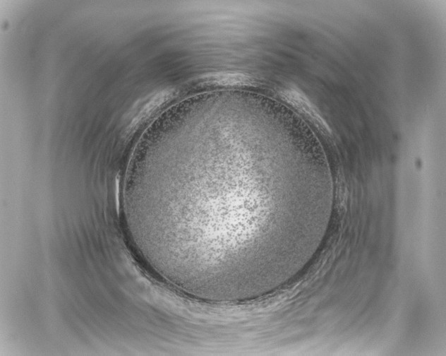 X0000059040014200510101022