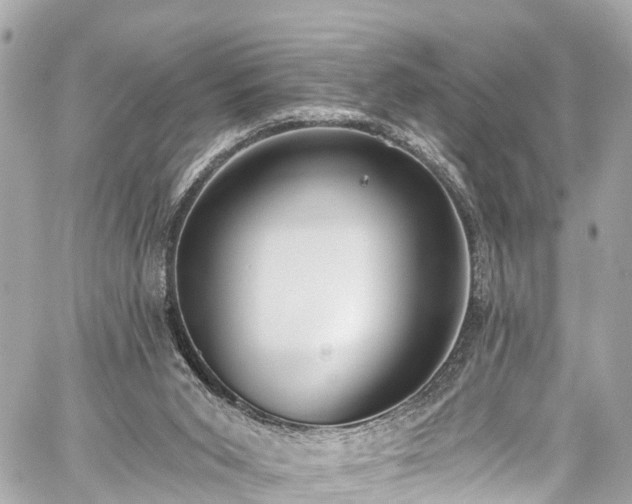 X0000059040015200510101022