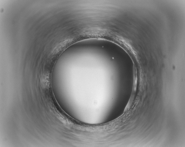 X0000059040017200510101022