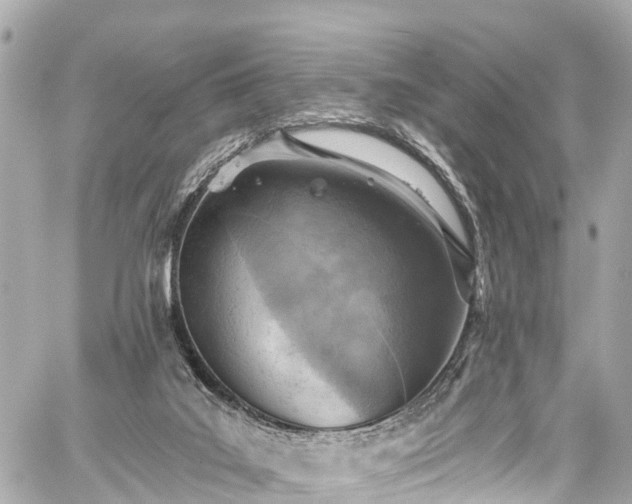 X0000059040019200510101021