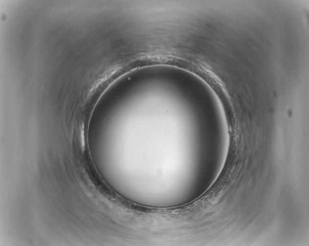 X0000059040020200510101021