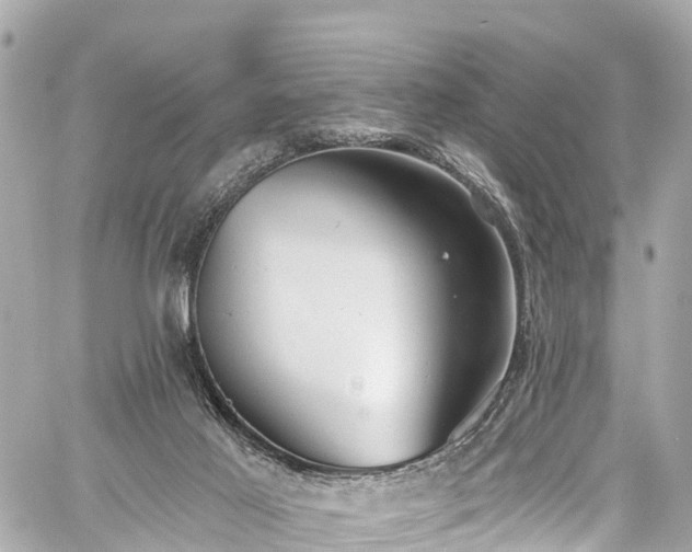 X0000059040021200510101021