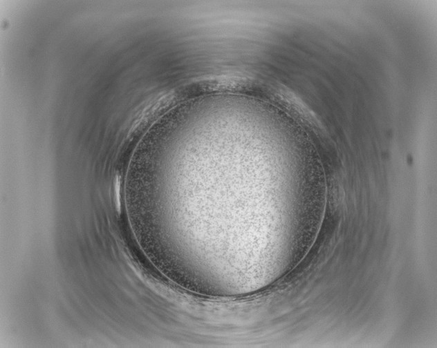 X0000059040022200510101021