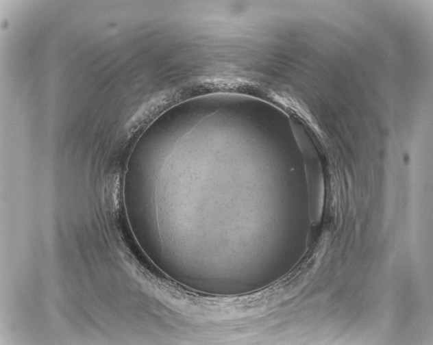 X0000059040023200510101021