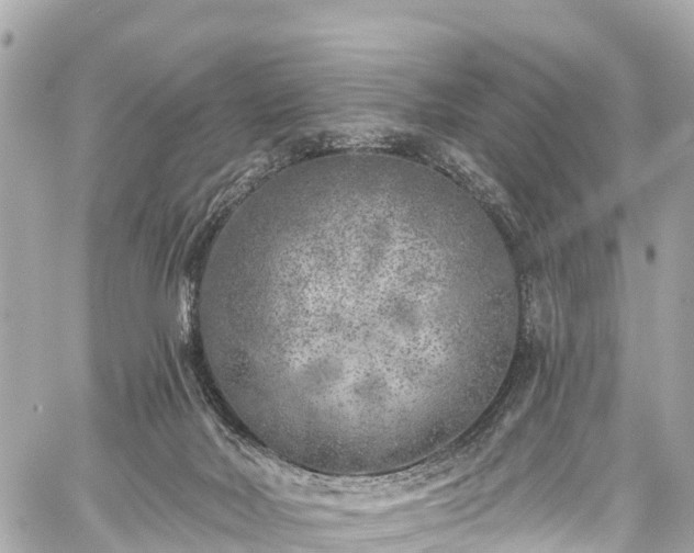 X0000059040026200510101021