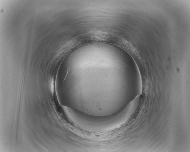 X0000059040027200510101021