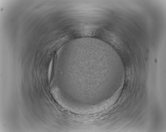 X0000059040029200510101021