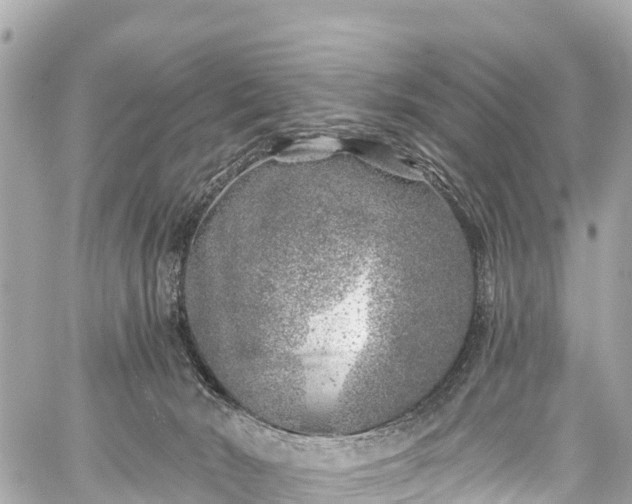 X0000059040030200510101021