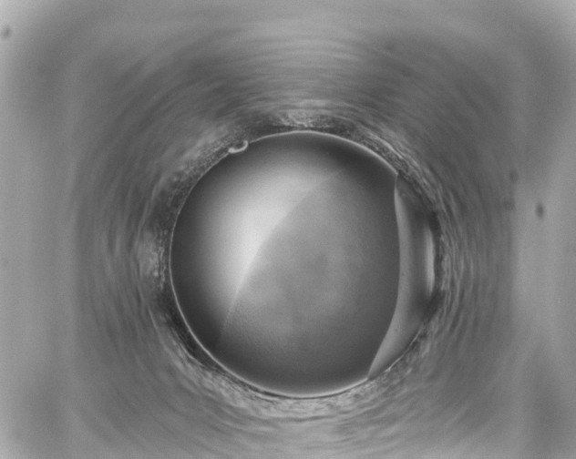 X0000059040031200510101021