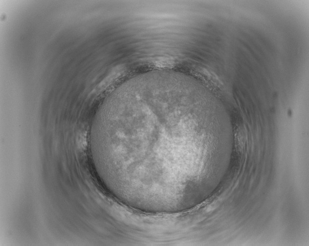 X0000059040032200510101021