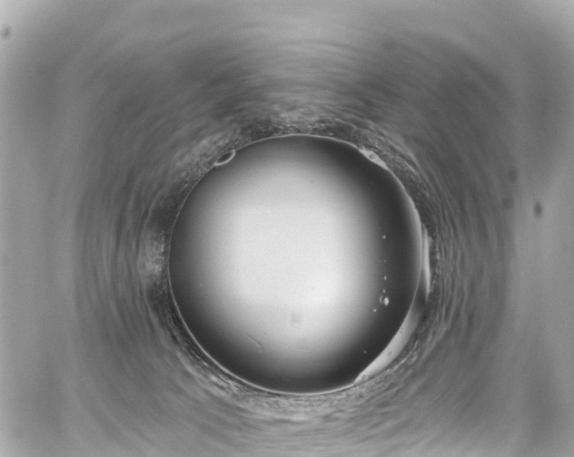 X0000059040033200510101021