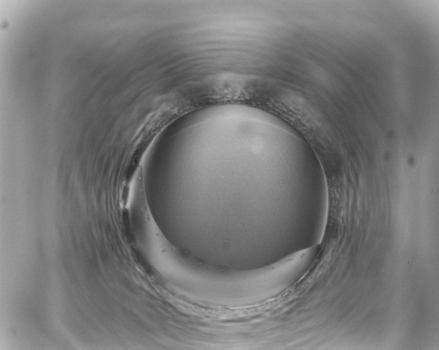 X0000059040035200510101021