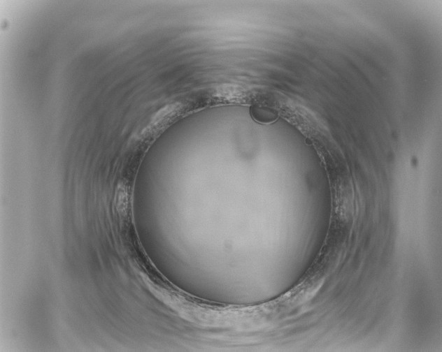 X0000059040036200510101021