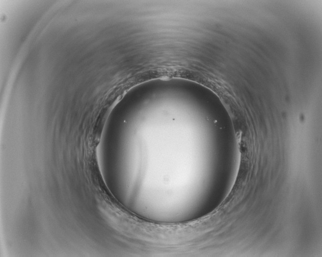 X0000059040037200510101021