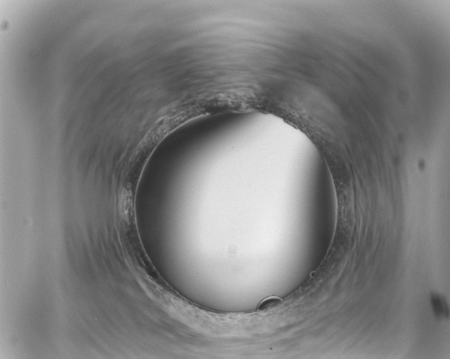 X0000059040038200510101021