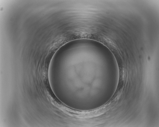 X0000059040039200510101021