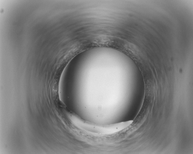 X0000059040040200510101021