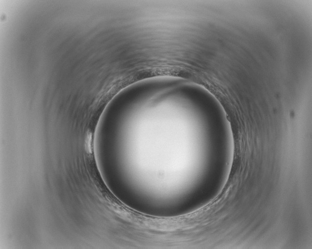 X0000059040041200510101021