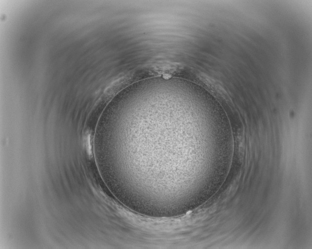 X0000059040042200510101021