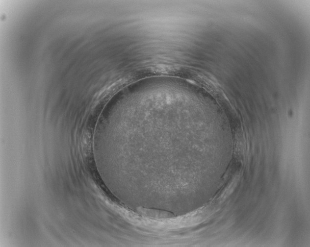 X0000059040043200510101021