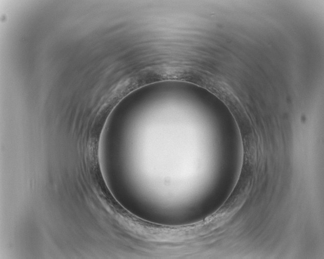 X0000059040044200510101021