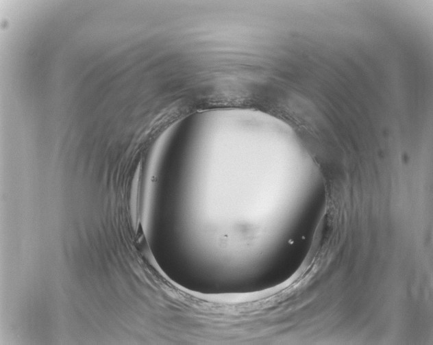 X0000059040045200510101021