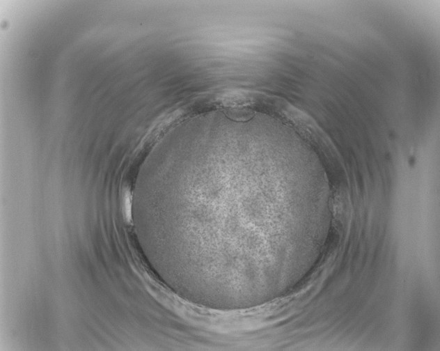 X0000059040046200510101021