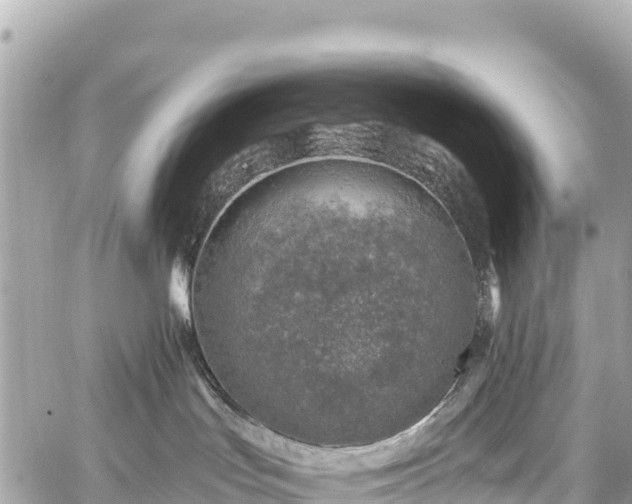 X0000059040047200510101021