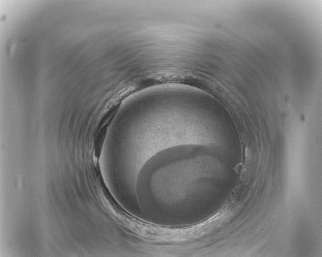 X0000059040048200510101021