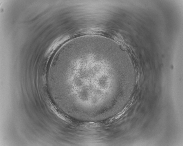 X0000059040050200510101020