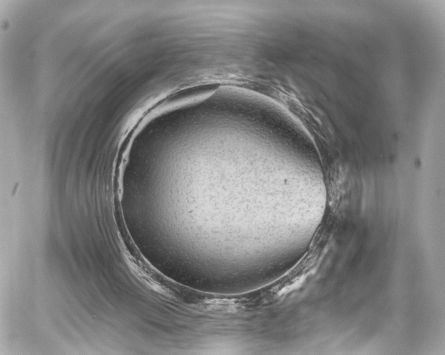 X0000059040052200510101020