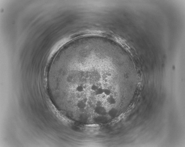 X0000059040053200510101020