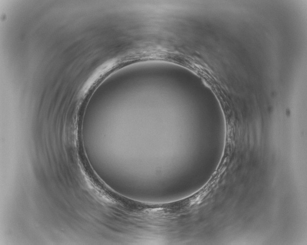 X0000059040054200510101020