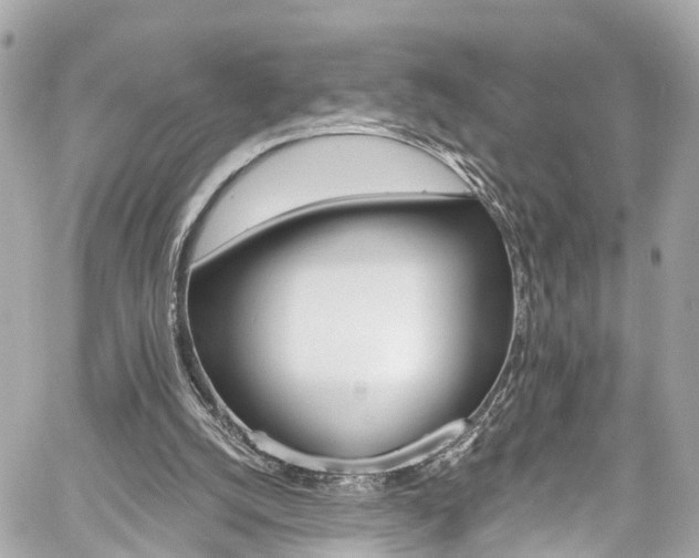 X0000059040056200510101020