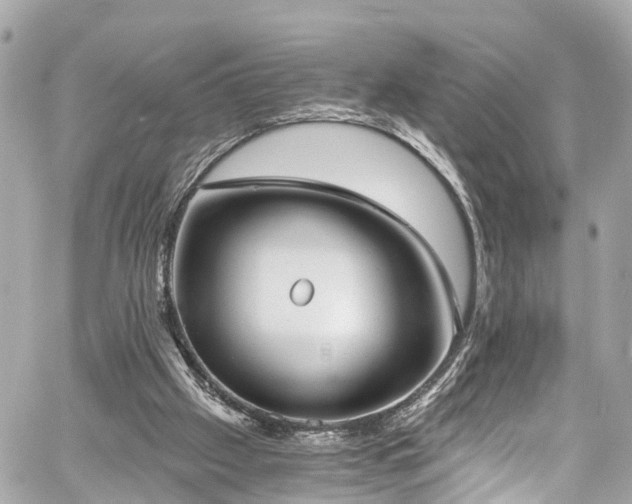 X0000059040057200510101020