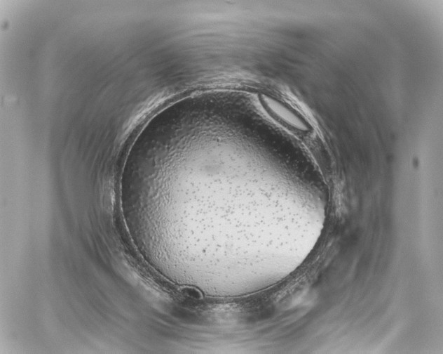 X0000059040059200510101020