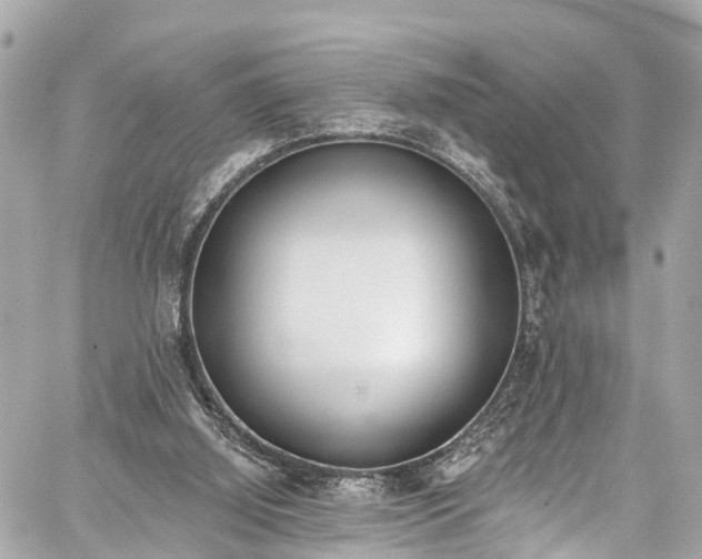 X0000059040060200510101020