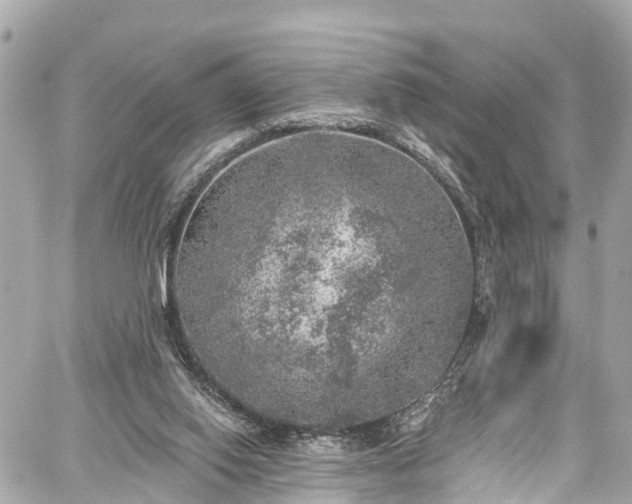 X0000059040062200510101020