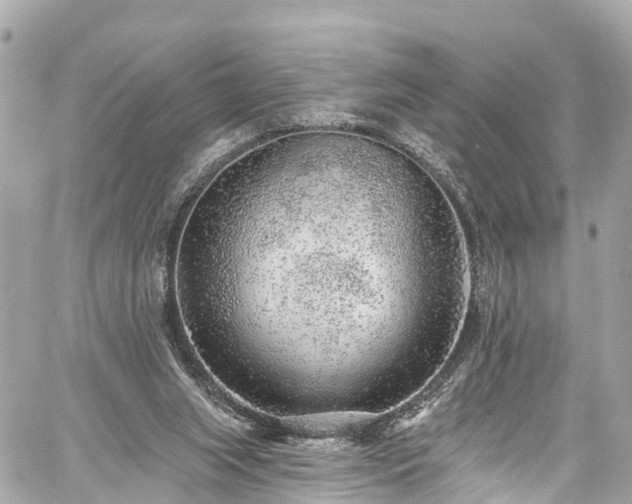 X0000059040063200510101020