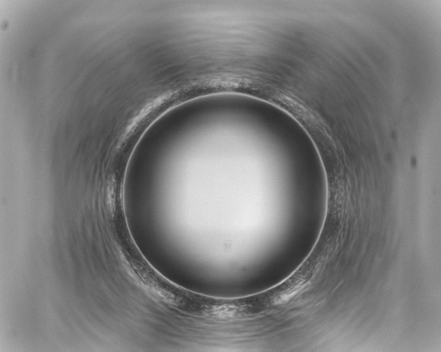 X0000059040064200510101020