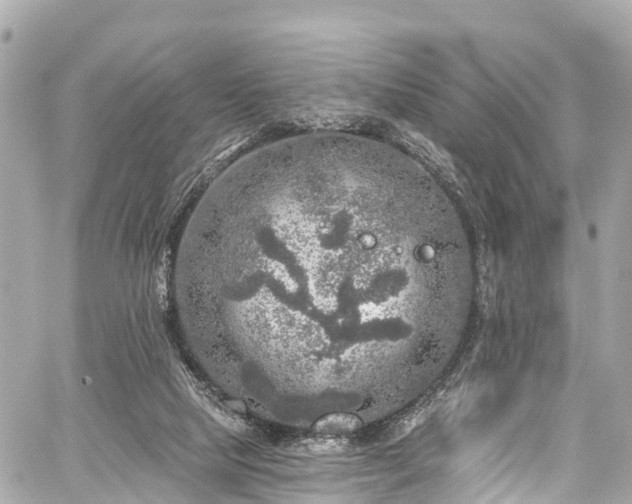 X0000059040065200510101020