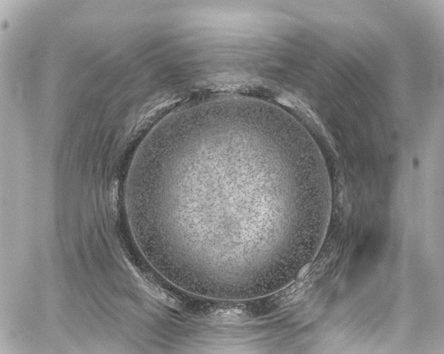 X0000059040066200510101020