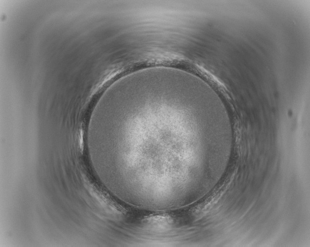 X0000059040067200510101020