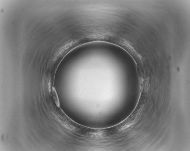 X0000059040068200510101021